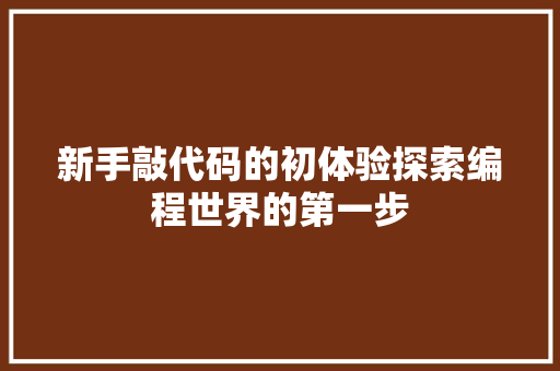 新手敲代码的初体验探索编程世界的第一步