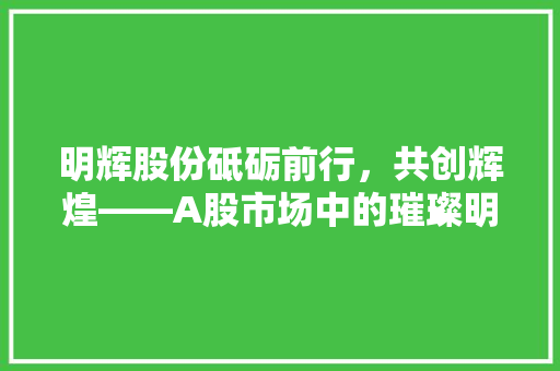 明辉股份砥砺前行，共创辉煌——A股市场中的璀璨明珠