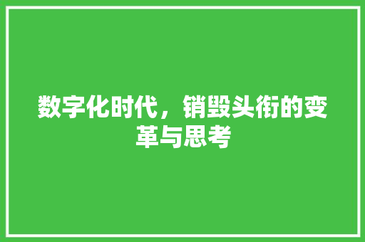 数字化时代，销毁头衔的变革与思考