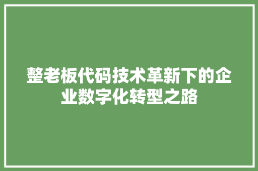 整老板代码技术革新下的企业数字化转型之路