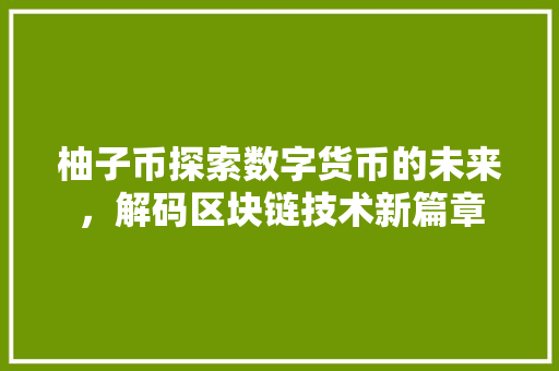 柚子币探索数字货币的未来，解码区块链技术新篇章