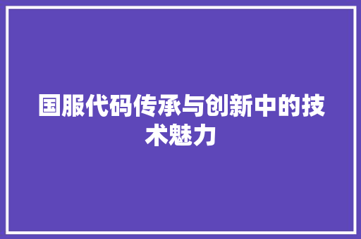 国服代码传承与创新中的技术魅力