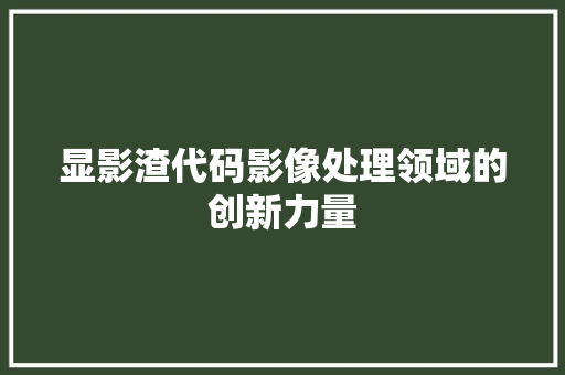 显影渣代码影像处理领域的创新力量