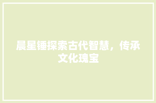 晨星锤探索古代智慧，传承文化瑰宝