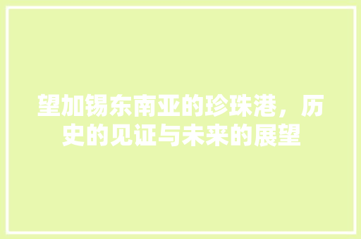 望加锡东南亚的珍珠港，历史的见证与未来的展望