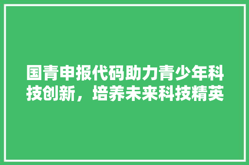 国青申报代码助力青少年科技创新，培养未来科技精英