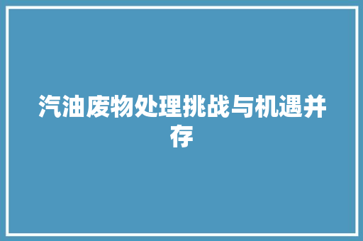 汽油废物处理挑战与机遇并存