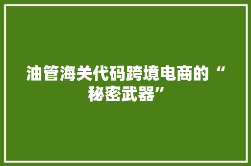 油管海关代码跨境电商的“秘密武器”