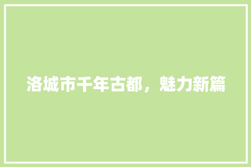 洛城市千年古都，魅力新篇