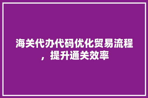 海关代办代码优化贸易流程，提升通关效率