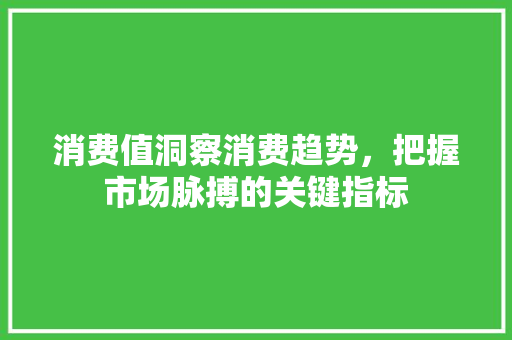 消费值洞察消费趋势，把握市场脉搏的关键指标