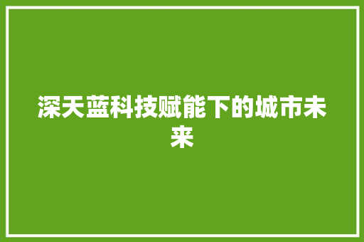 深天蓝科技赋能下的城市未来