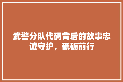 武警分队代码背后的故事忠诚守护，砥砺前行