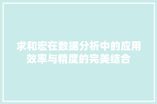 求和宏在数据分析中的应用效率与精度的完美结合