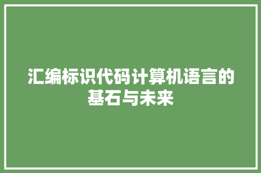 汇编标识代码计算机语言的基石与未来