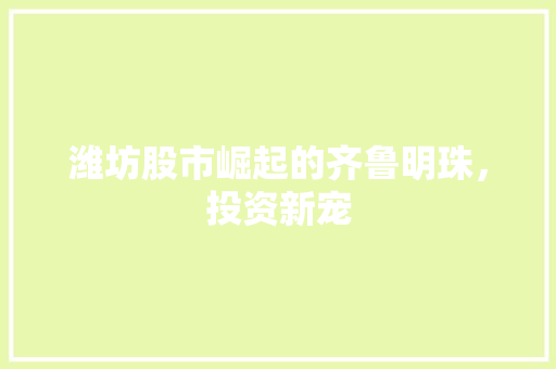 潍坊股市崛起的齐鲁明珠，投资新宠
