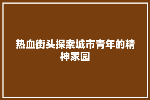 热血街头探索城市青年的精神家园