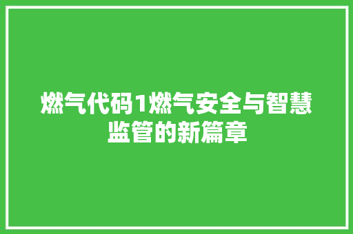 燃气代码1燃气安全与智慧监管的新篇章