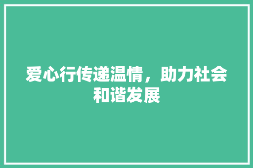 爱心行传递温情，助力社会和谐发展