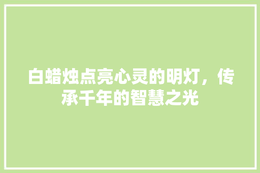 白蜡烛点亮心灵的明灯，传承千年的智慧之光
