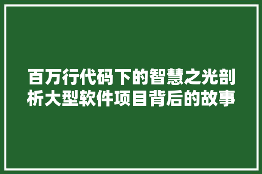 百万行代码下的智慧之光剖析大型软件项目背后的故事