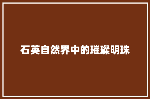 石英自然界中的璀璨明珠