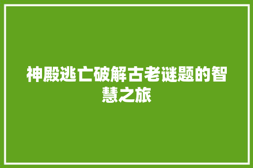 神殿逃亡破解古老谜题的智慧之旅