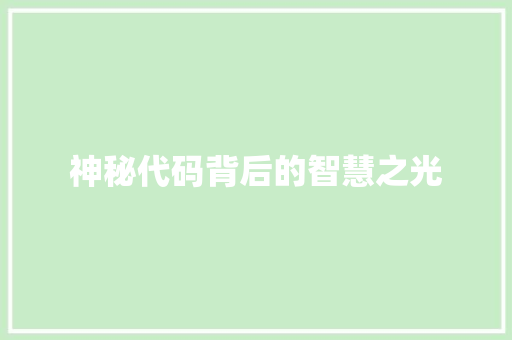 神秘代码背后的智慧之光