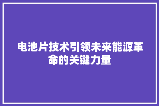 电池片技术引领未来能源革命的关键力量