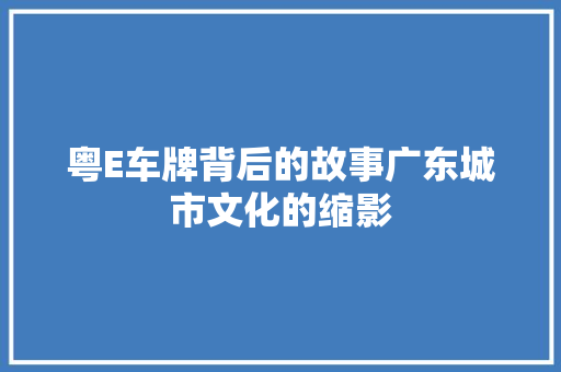 粤E车牌背后的故事广东城市文化的缩影