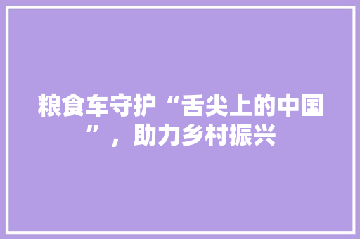 粮食车守护“舌尖上的中国”，助力乡村振兴
