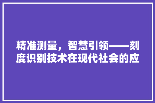 精准测量，智慧引领——刻度识别技术在现代社会的应用与未来展望