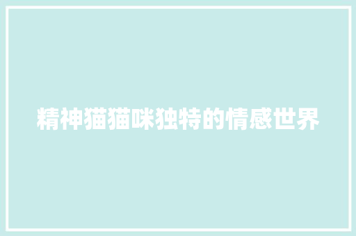精神猫猫咪独特的情感世界