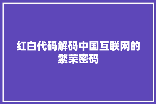 红白代码解码中国互联网的繁荣密码