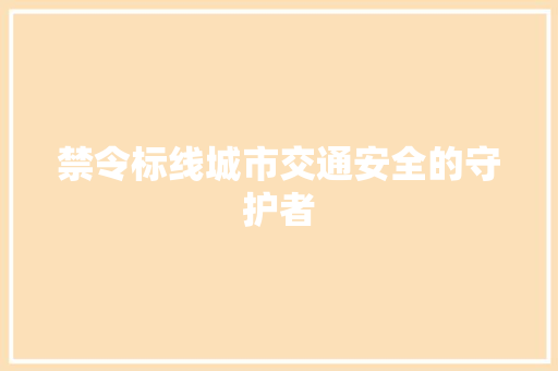 禁令标线城市交通安全的守护者