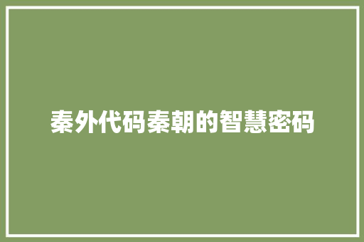 秦外代码秦朝的智慧密码