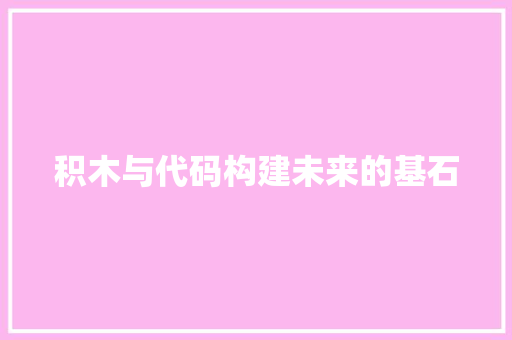 积木与代码构建未来的基石