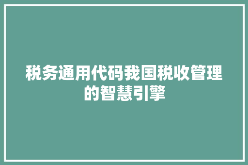 税务通用代码我国税收管理的智慧引擎