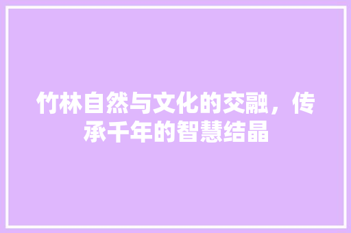 竹林自然与文化的交融，传承千年的智慧结晶