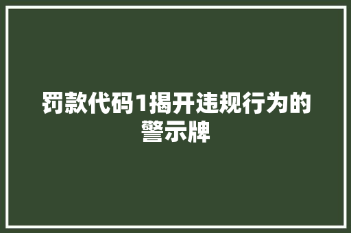 罚款代码1揭开违规行为的警示牌