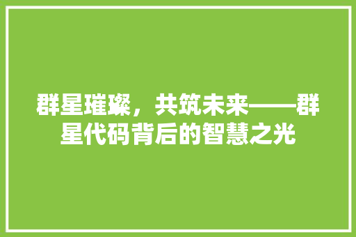 群星璀璨，共筑未来——群星代码背后的智慧之光