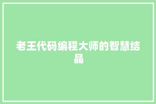 老王代码编程大师的智慧结晶
