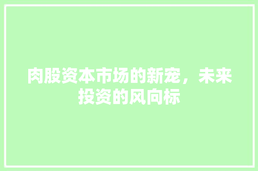 肉股资本市场的新宠，未来投资的风向标