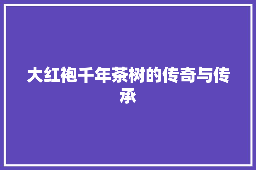 大红袍千年茶树的传奇与传承