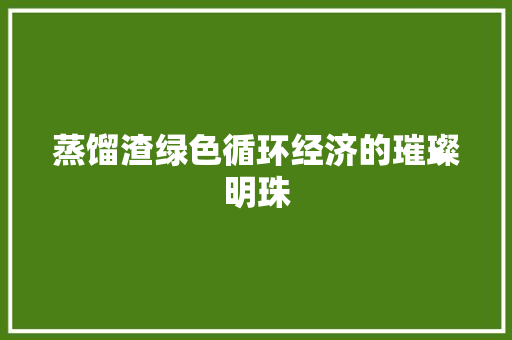 蒸馏渣绿色循环经济的璀璨明珠