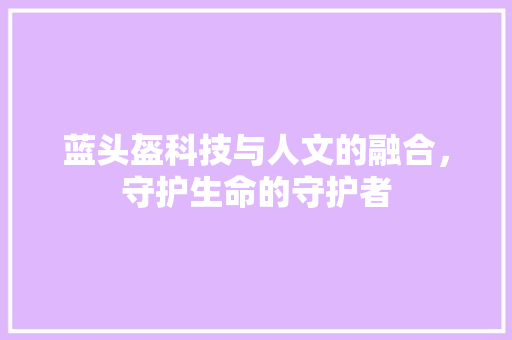 蓝头盔科技与人文的融合，守护生命的守护者
