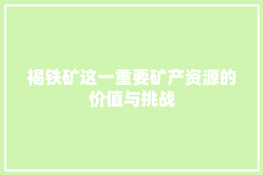 褐铁矿这一重要矿产资源的价值与挑战