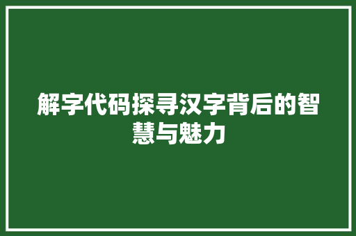 解字代码探寻汉字背后的智慧与魅力