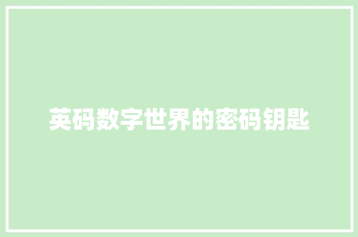 英码数字世界的密码钥匙