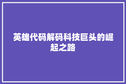 英雄代码解码科技巨头的崛起之路